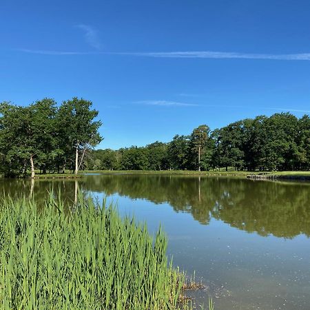 Domaine Du Roncemay - Hotel, Restaurants, Spa & Golf Aillant-sur-Tholon Zewnętrze zdjęcie
