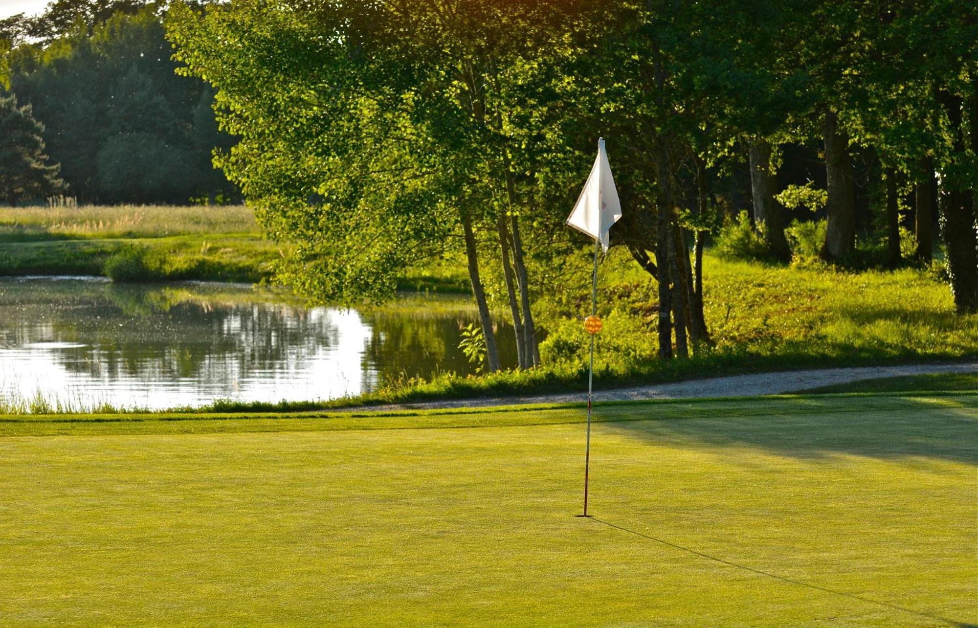 Domaine Du Roncemay - Hotel, Restaurants, Spa & Golf Aillant-sur-Tholon Zewnętrze zdjęcie